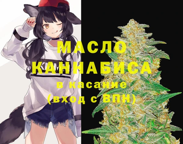молекула духа Пенза