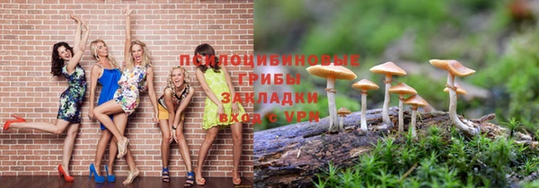 а пвп мука Переславль-Залесский