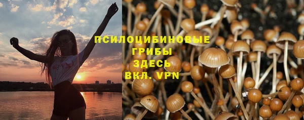 эйфоретик Покров
